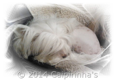 Nov. 6, 2012 - beauty rest