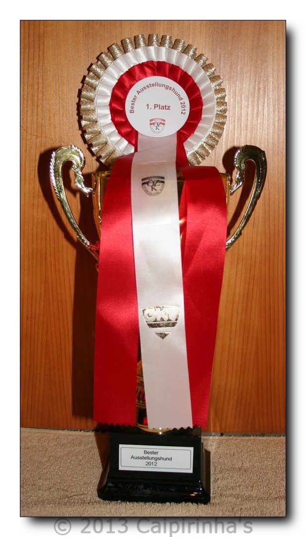 May 4, 2013 Best Show Dog Toy Breeds Austria 2012 and Best Chinese Crested Austria 2012