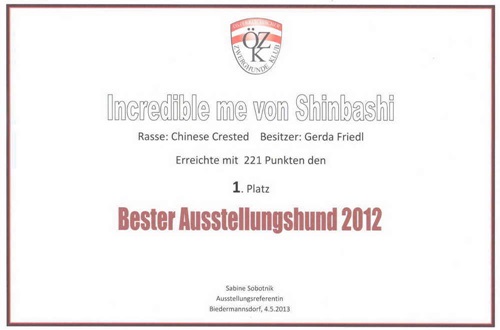 4. Mai 2013 Bester Ausstellungshund Zwerghunde Österreich 2012 und Bester Chinese Crested Österreich 2012