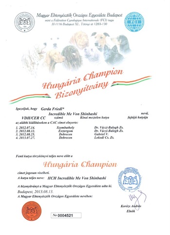 13. Aug. 2013 Champion Ungarn