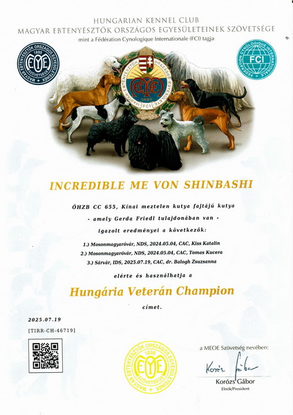 Veteran Champion Hungary - July 19, 2025