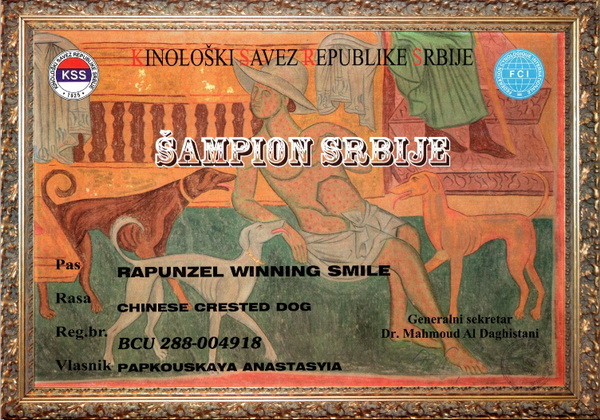 Oct. 30, 2025 - diploma Beauty Champion Serbia