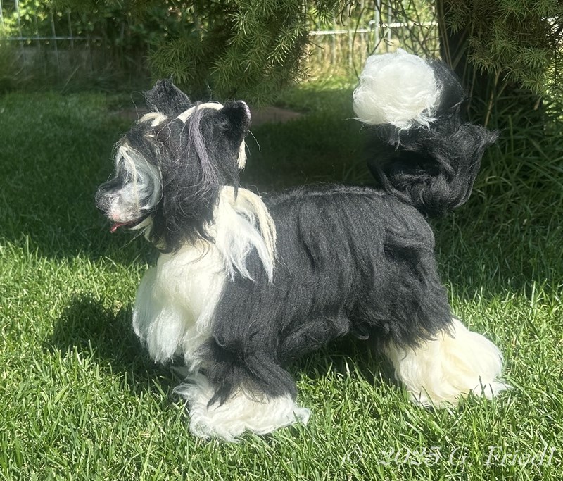 Replica Rapunzel Replica Rapunzel