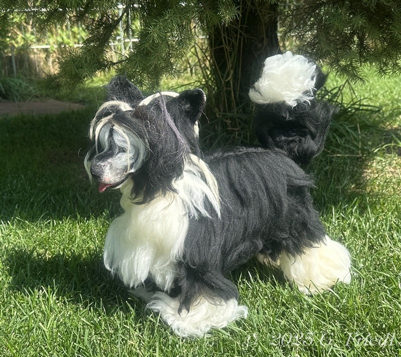 Replica Rapunzel Replica Rapunzel