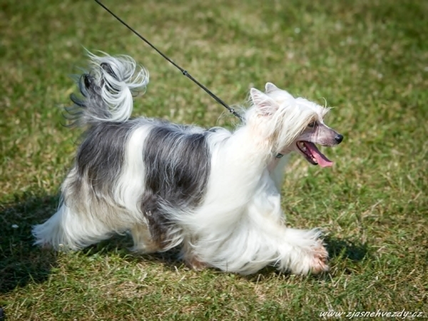 Mamacita Aug. 15, 2025 Bratislava Mamacita Aug. 15, 2025 Bratislava