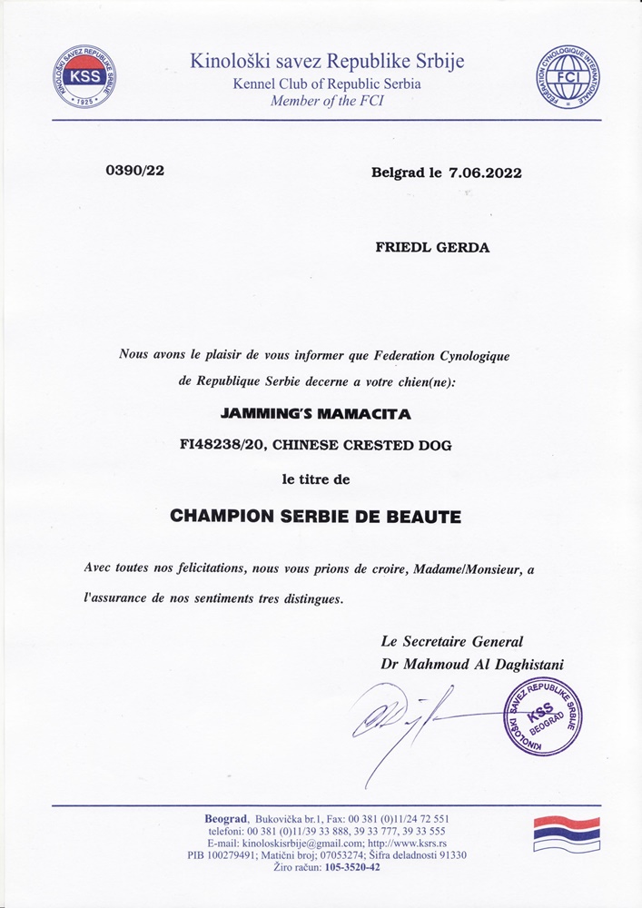 certificate Beauty Champion Serbia