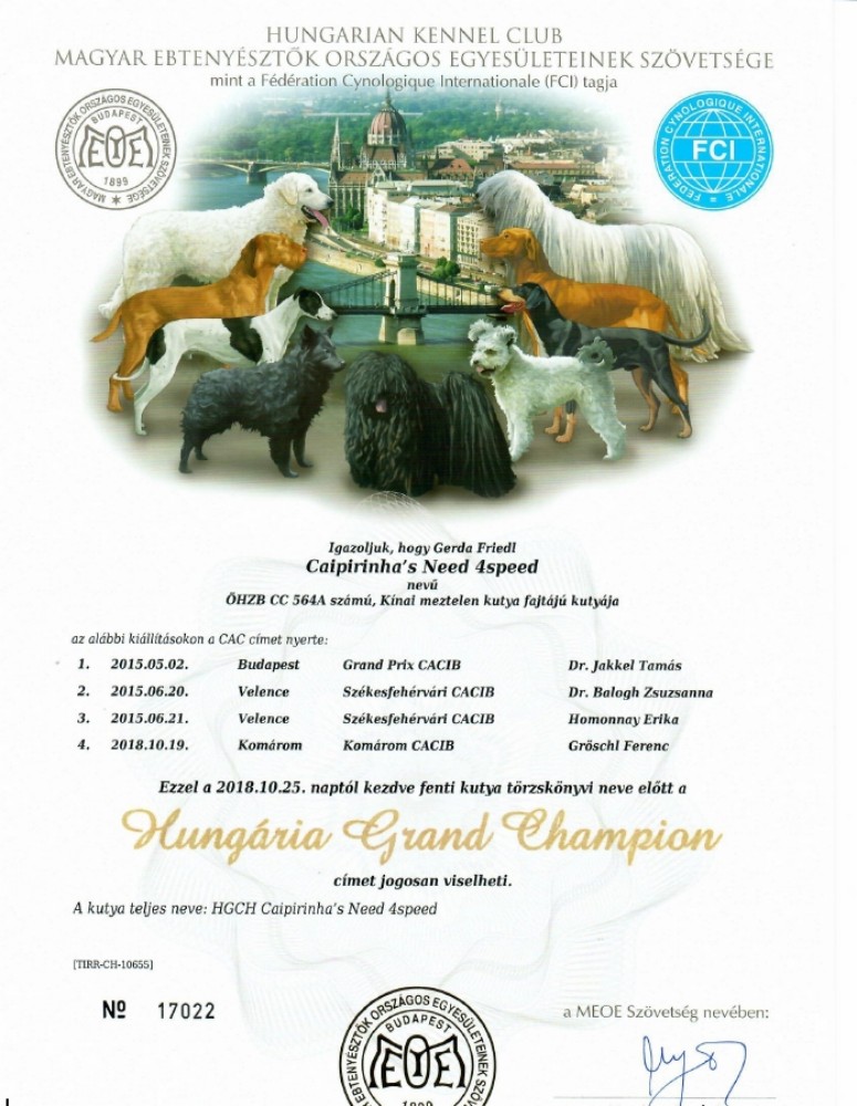 Maverick Diploma Grand-Champion Hungary