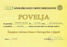 Veteranen-Champion Bosnien und Herzegowina