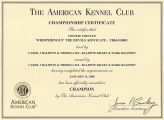 Keanu Urkunde Championat USA