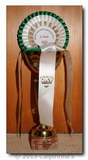 2nd Best Show Dog Toy Breeds Austria 2012 + No. 2 Chinese Crested Austria 2012