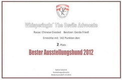 2nd Best Show Dog Toy Breeds Austria 2012