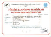 Schönheits-Champion Türkei