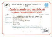 Beauty Champion Turkey