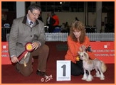 Ula Club Specialty Toy Breeds Zagreb